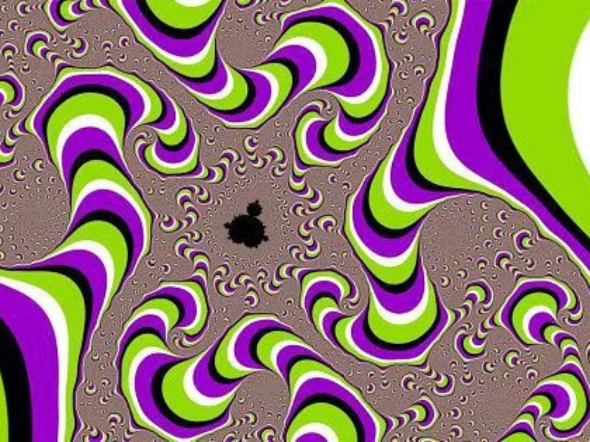 Optical Illusions What Do You See