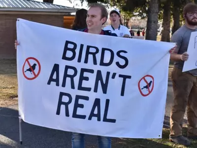 birds aren't real rally