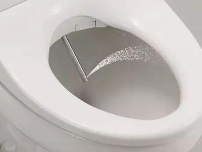 japanese toilet superbug