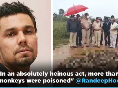 Randeep Hooda Appeals To Karnataka CM For Action Against Poisoning Of 60 Monkeys In The State