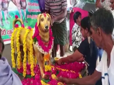 Andhra Pradesh man erects statue of Dead Dog
