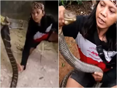 Woman catches snake with bare hands video viral