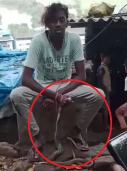 Snake Bites & Kills Man After He Wraps It Around Neck