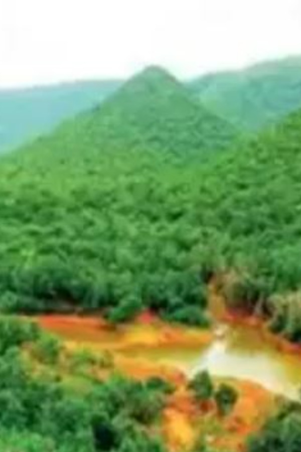 Aarogya Van: Gorakhpur To Get First Medicinal Forest From July 7 Aarogya Van: Gorakhpur To Get First Medicinal Forest From July 7