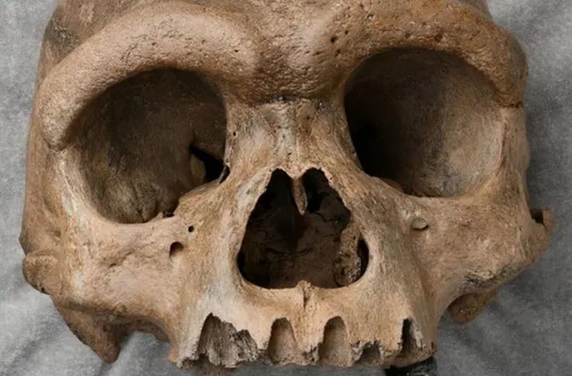 A 4.4 million-year-old skeleton could reveal how early humans