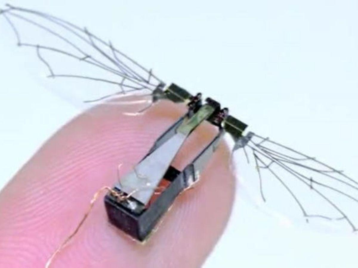 exciting employment Prestigious US Air Force Building Micro-Drone As Tiny As A Fly For Secret Surveillance