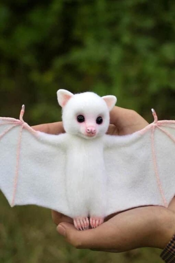  Spoiler Alert: Images Of Cute Baby Albino Bat Turns Out To Be Of Soft Toys, Netizens Left Heartbroken