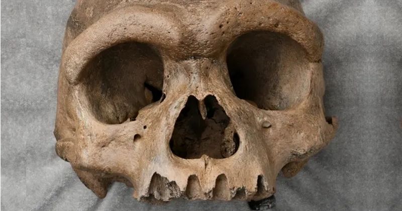 A Skull Bone Discovered in Greece May Alter the Story of Human