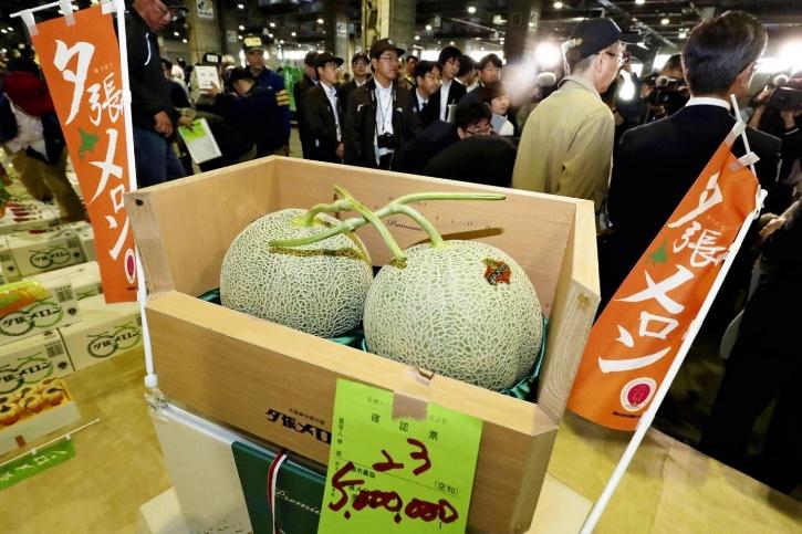 Yubari King Melon