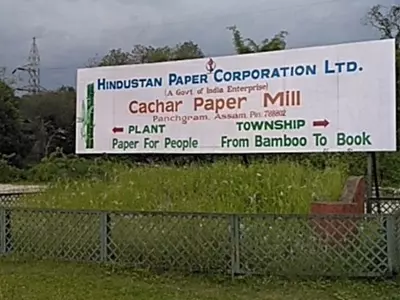 Cachar paper mills