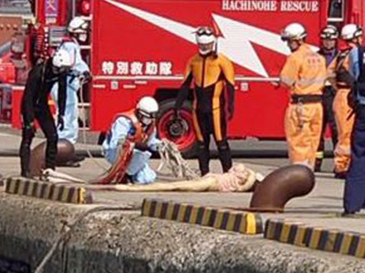 Japan Rescue Team Save Drowning Woman It Was Actually A Sex Doll