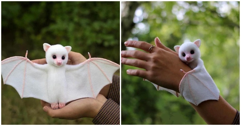 Baby Albino Bat Pictures Going Viral Are Actually Soft Toys