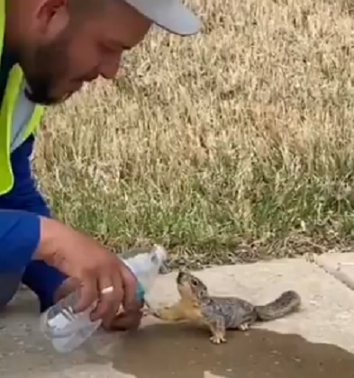 Man gives water to thirsty squirrel