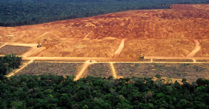 Amazon Rainforest Deforestation 