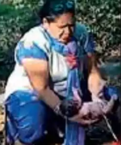 Woman delivers baby at park in Mysuru