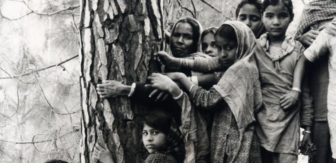 chipko