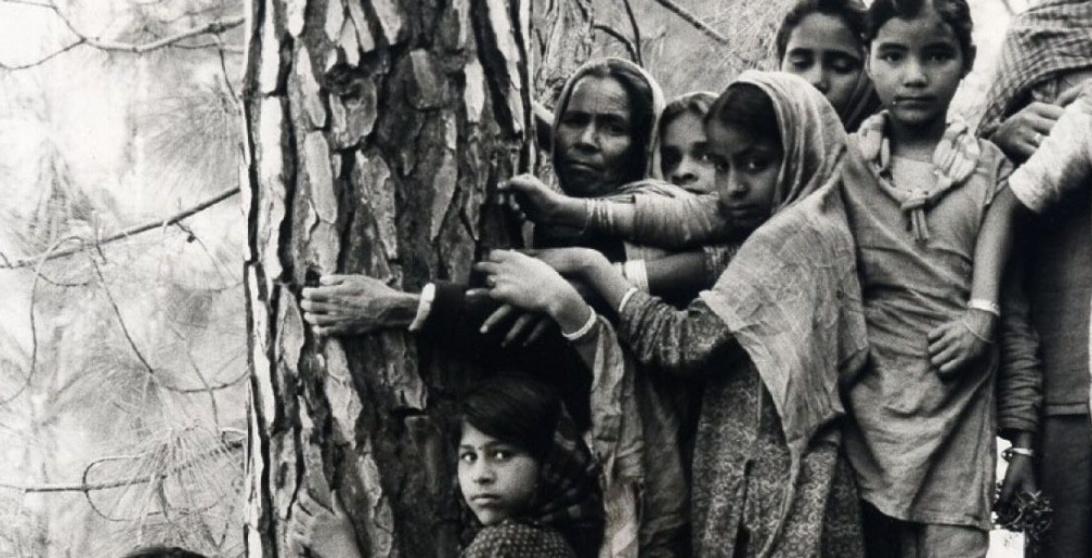 chipko