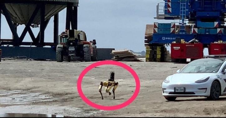 Spacex Uses Robot Dog At Boca Chica