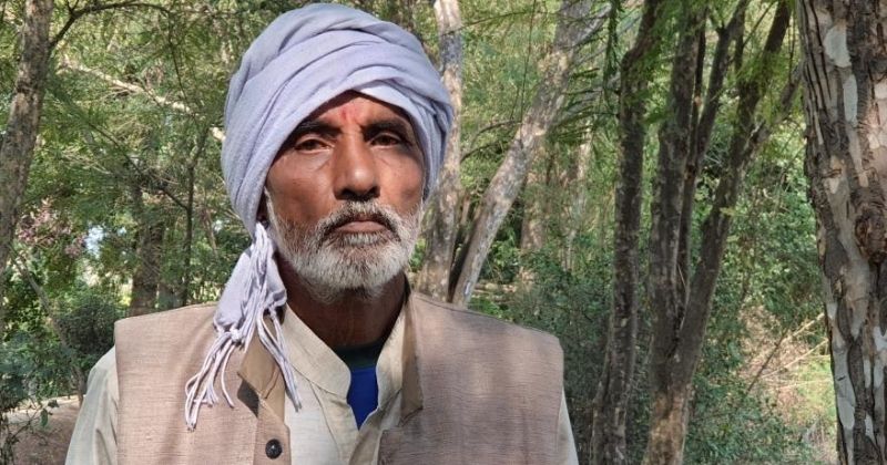 down to earth pic credit