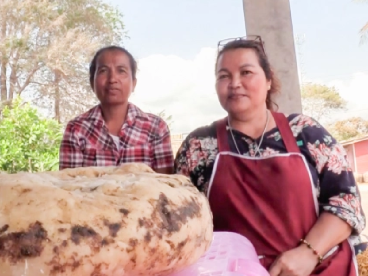 Thai Woman Finds Lump of Whale Vomit Worth Rs 1.8 Lakhs