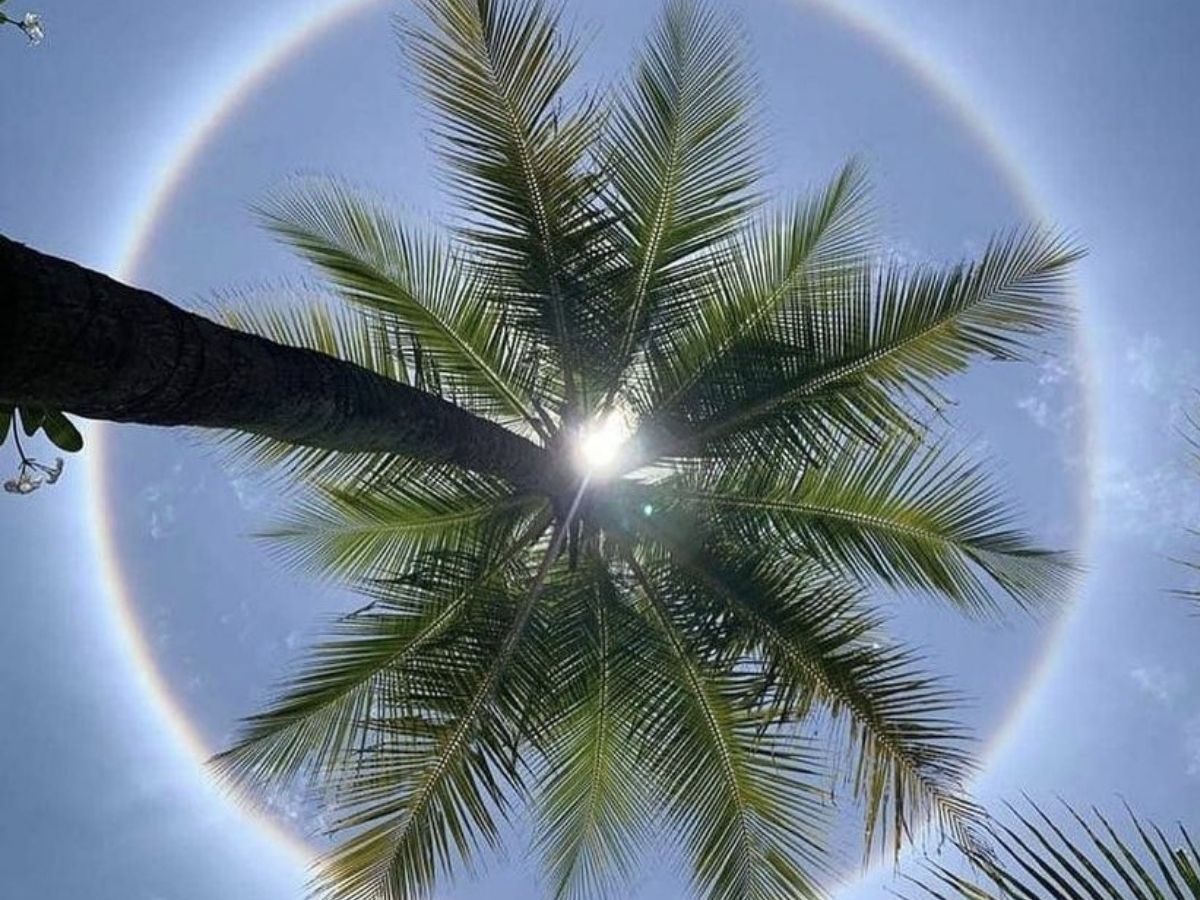Circular rainbow around the sun today : r/mildlyinteresting
