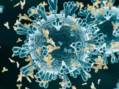 covid immunity antibodies