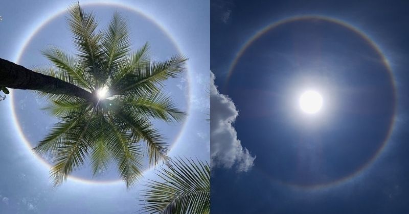 India Today - Bengaluru witnesses 22-degree 'Sun halo' A