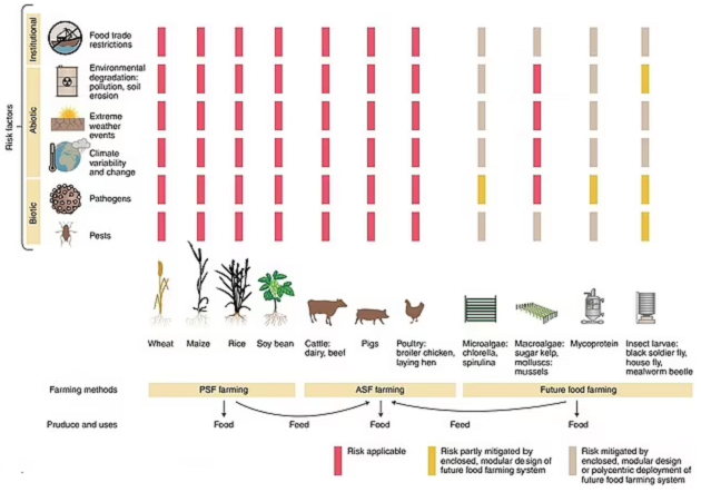 Study: Humans May Have To Eat Maggots & Insects In The Future To Fight ...