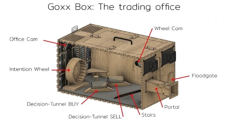 mr goxx trading