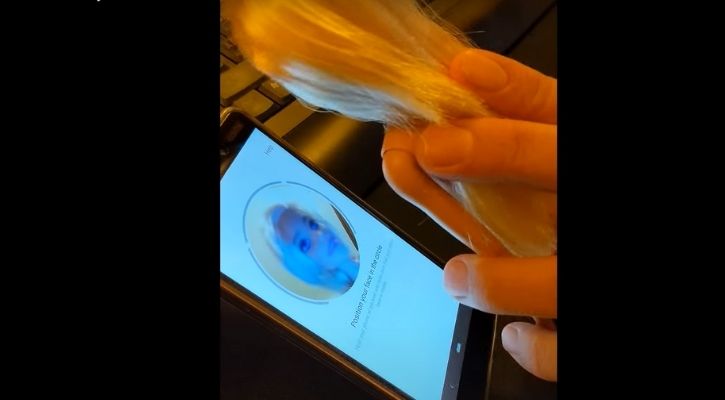instagram video verification