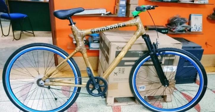 bamboo cycle
