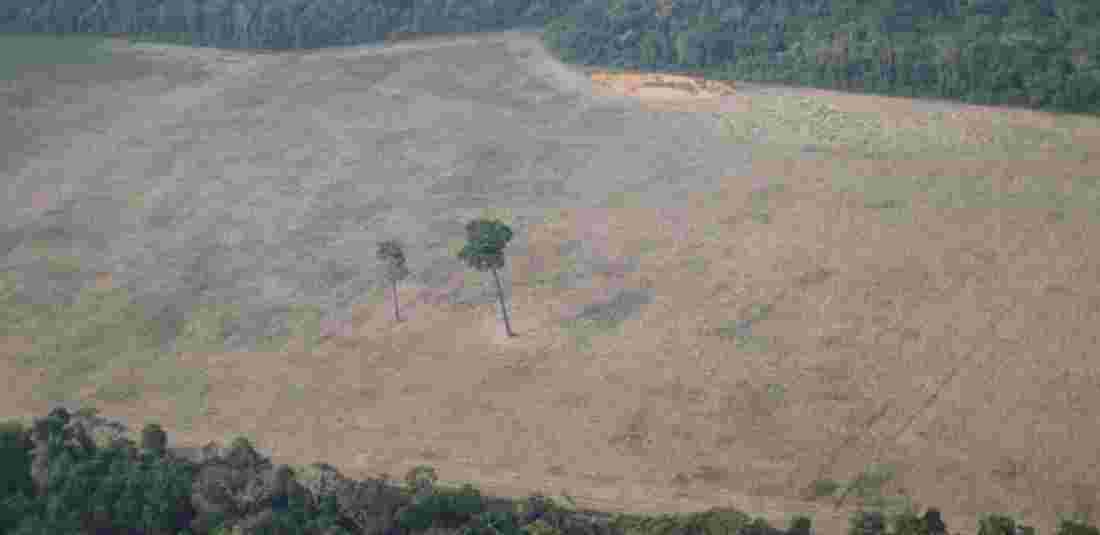 deforestation increases in brazil rainforests