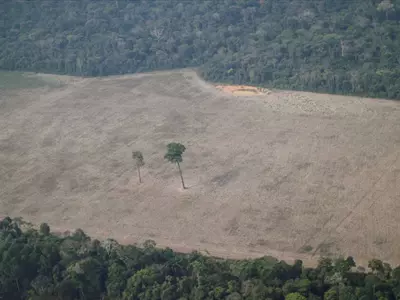 deforestation increases in brazil rainforests