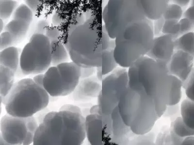 argentina popcorn cloud video