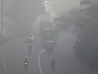 Delhi bans entry of medium, heavy goods vehicles from Nov to Feb to curb pollution