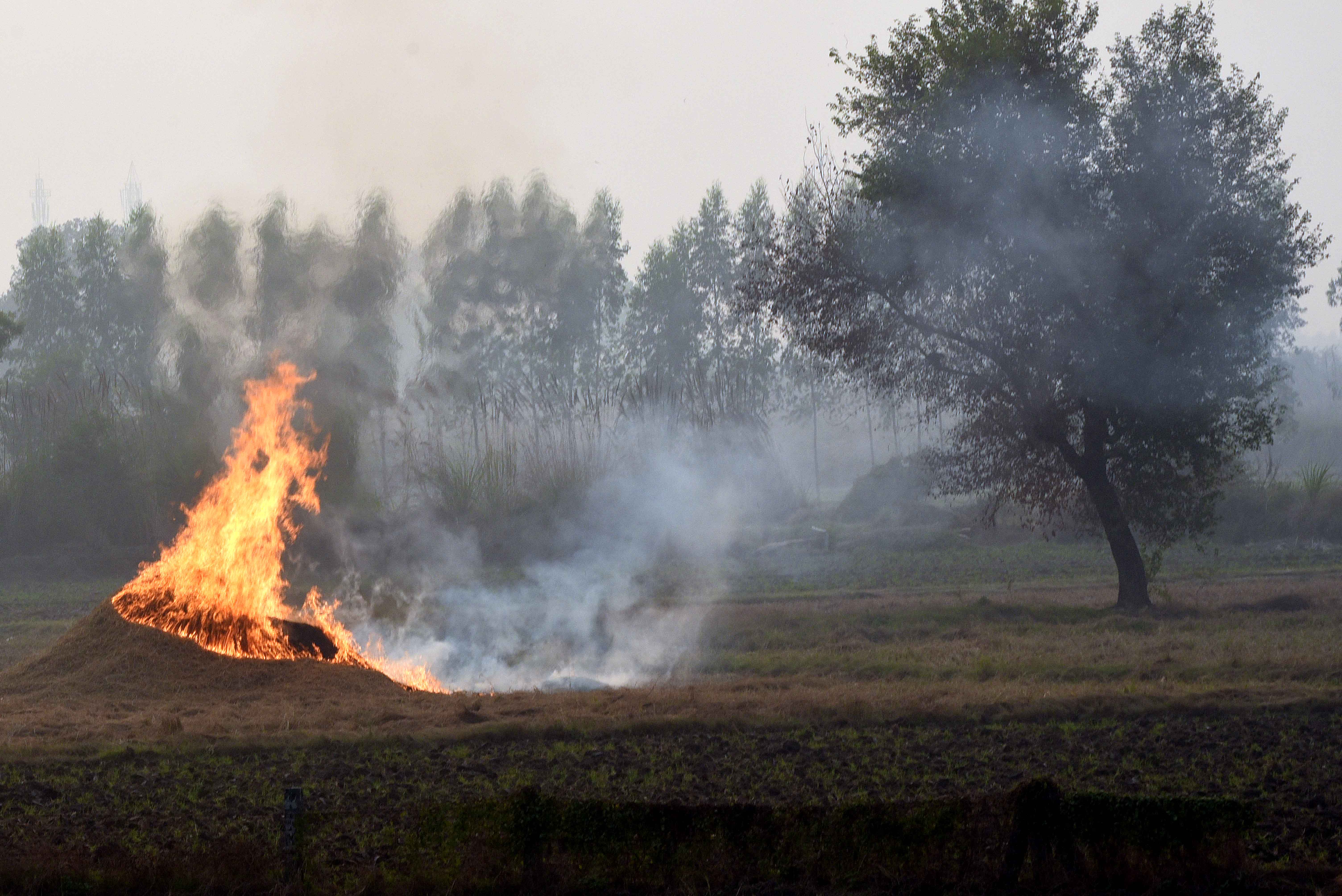 Even Bans Are Not Helping: Pollution In Delhi Was 'Worst Ever' In November 