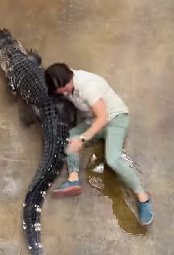 Alligator Hugs Woman And Then This Happened