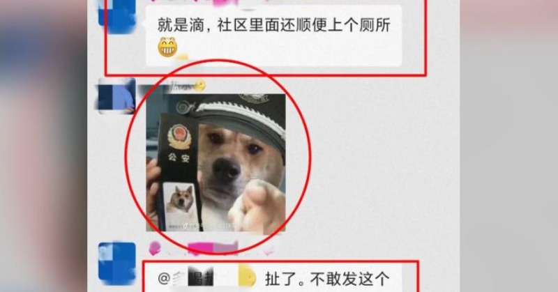 Chinese Man Detained For 9 Days For Sending Dog Meme Insulting Police