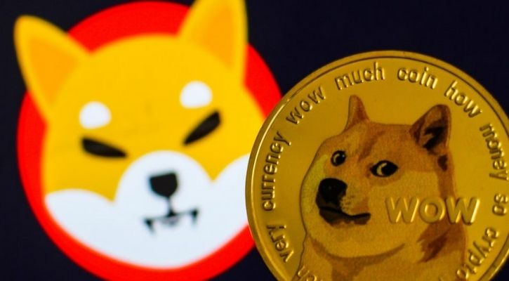 Shiba Inu