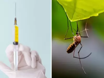World's first malaria vaccine