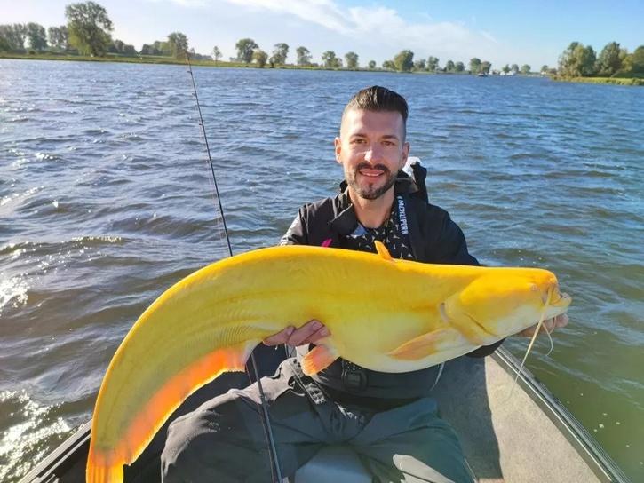 Fisherman Μаrtіn Glatz poses with the banana-yellow catfish