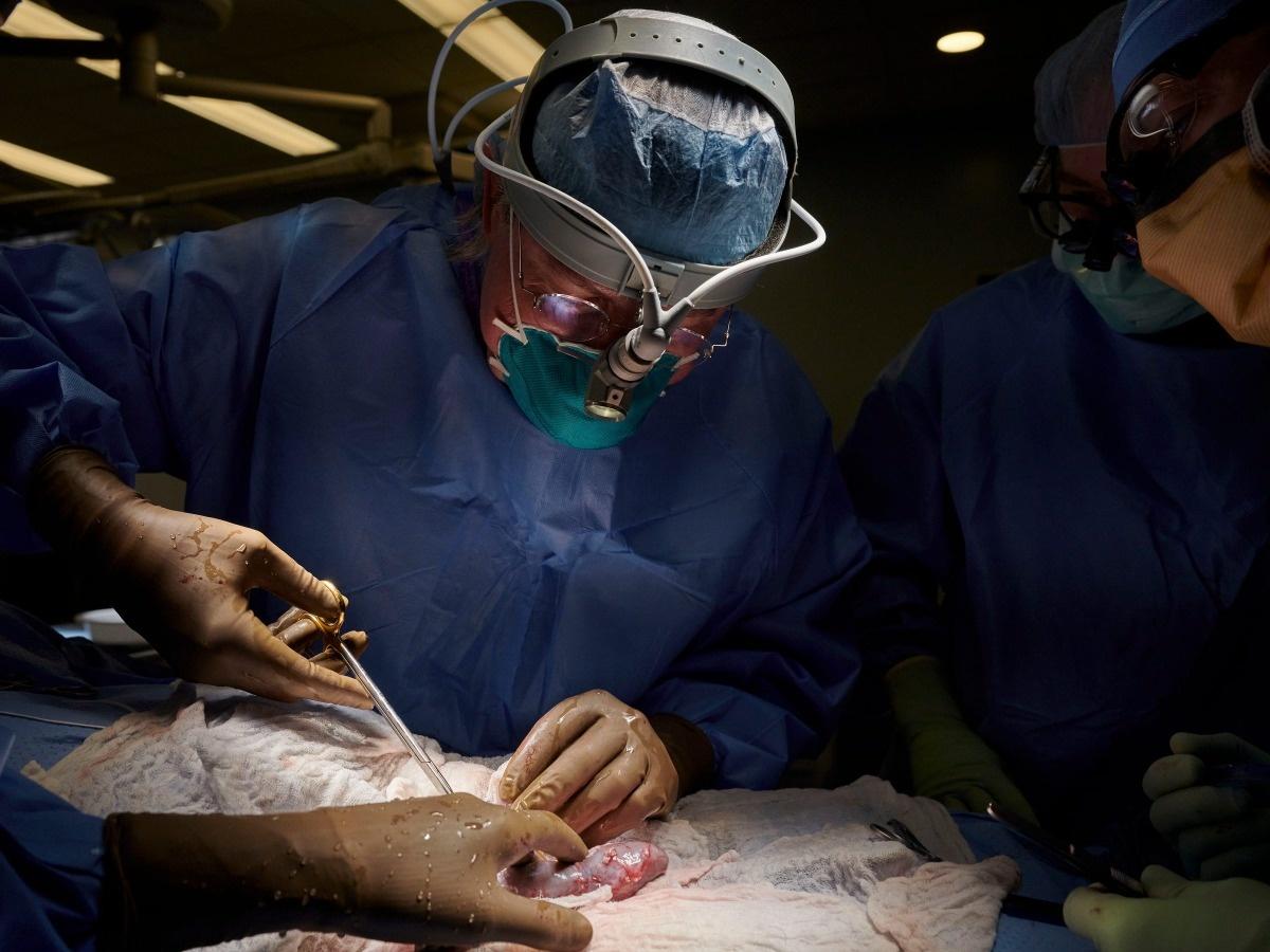 Bihar Woman Whose Kidneys Were Stolen At Hospital Demands Transplant Using  Doctor's Organ