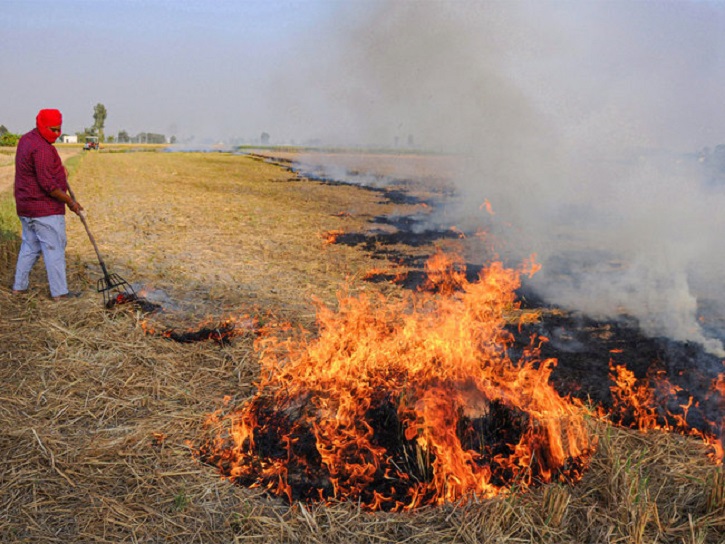 Map Shows Stubble Burning In North India