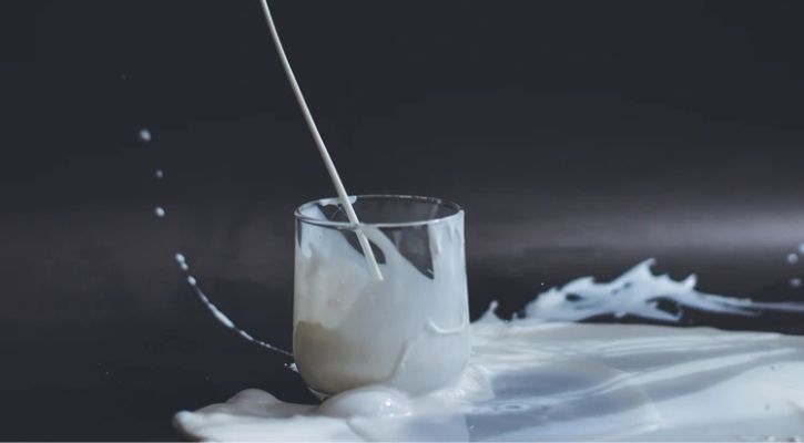 lactose intolerance human evolution