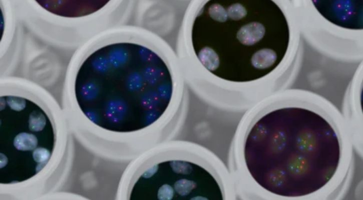 diet gene human evolution