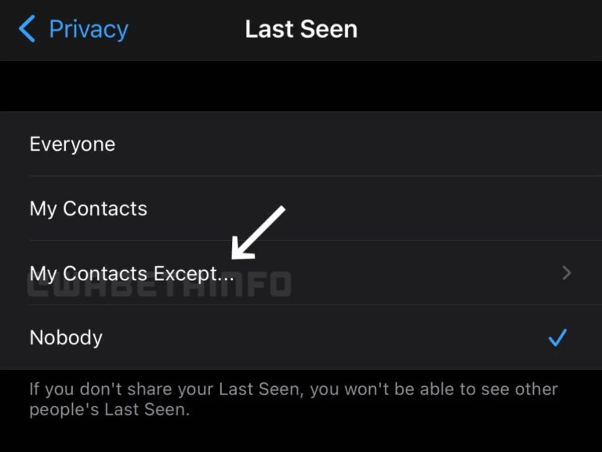 WhatsApp Will Allow Hiding Last Seen, Profile Pic For Specific Contacts