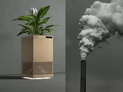 Left: Plant based air purifier created by IIT scientists | Right: Air pollution