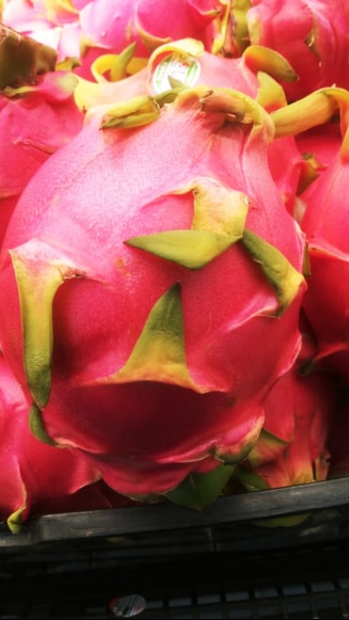 Dragon fruit