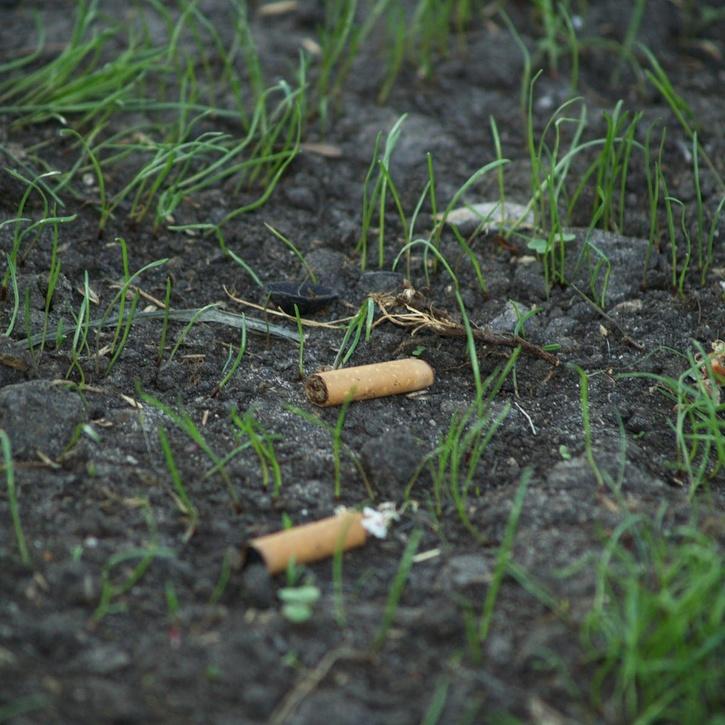 mohali man recycles cigarette butts