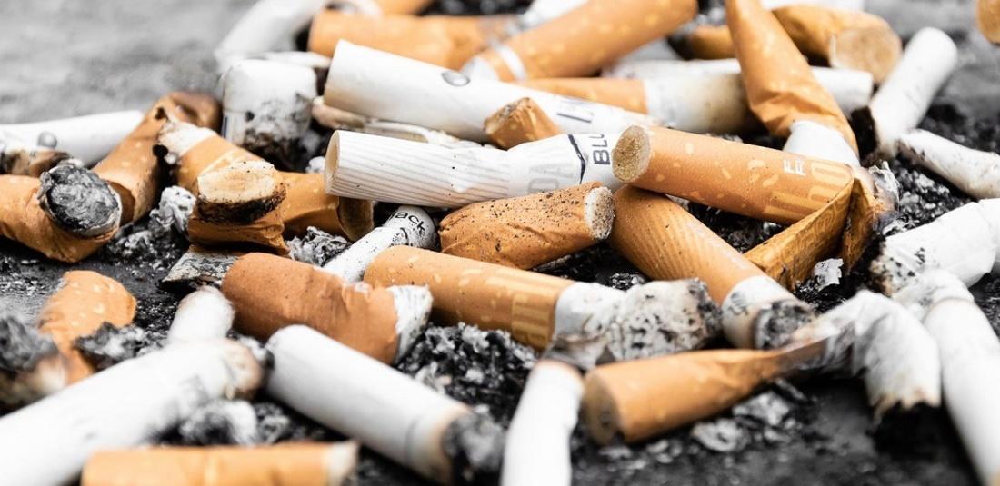 mohali man recycles cigarette butts